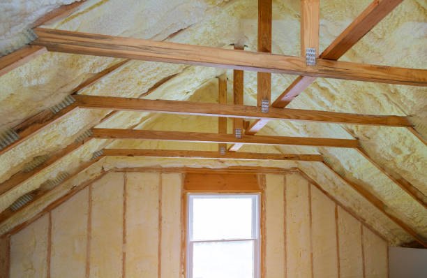 Best Eco-Friendly Insulation in Waggaman, LA